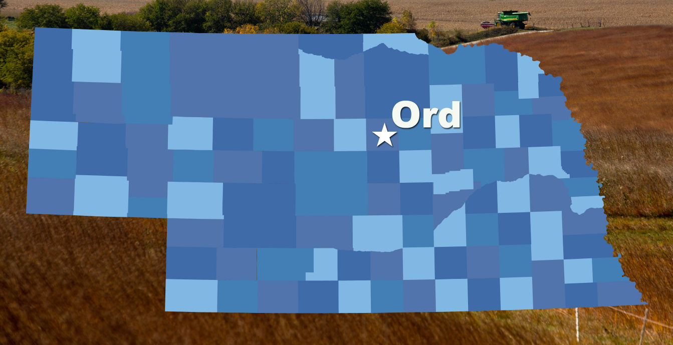 Ord